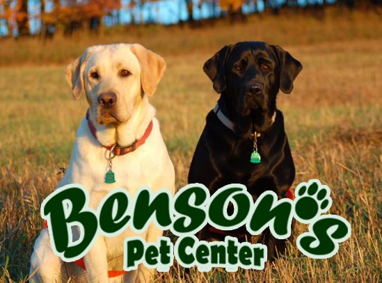 Bensons Pet Center - Things To Do In Fulton County Ny