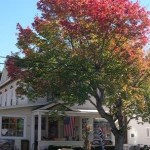 Adirondack Country Store