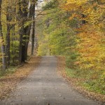 A quiet street in the woods during Fall time