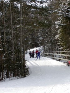 Lapland Lake Winter