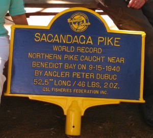 Pike marker 2