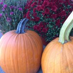 Fulton County Foliage Report: Week of September 16-22