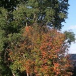 Fall Foliage Report: September 28-October 4