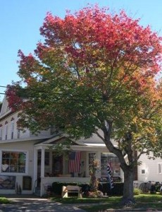 Adirondack Country Store