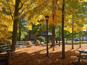 Waterfront Park, Northville