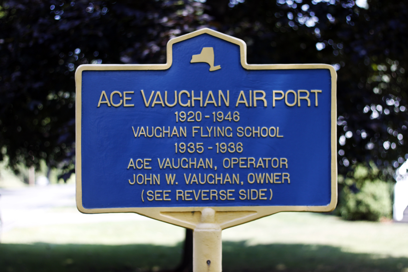Ace Vaughn Airport