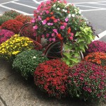 Fall Foliage Report: September 19-25