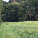 Fall Foliage Report: September 26- October 2