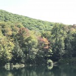 Fall Foliage Report: September 19 - September 25