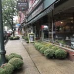 Mums in front of Mohawk Harvest Cooperative Market, Gloversville