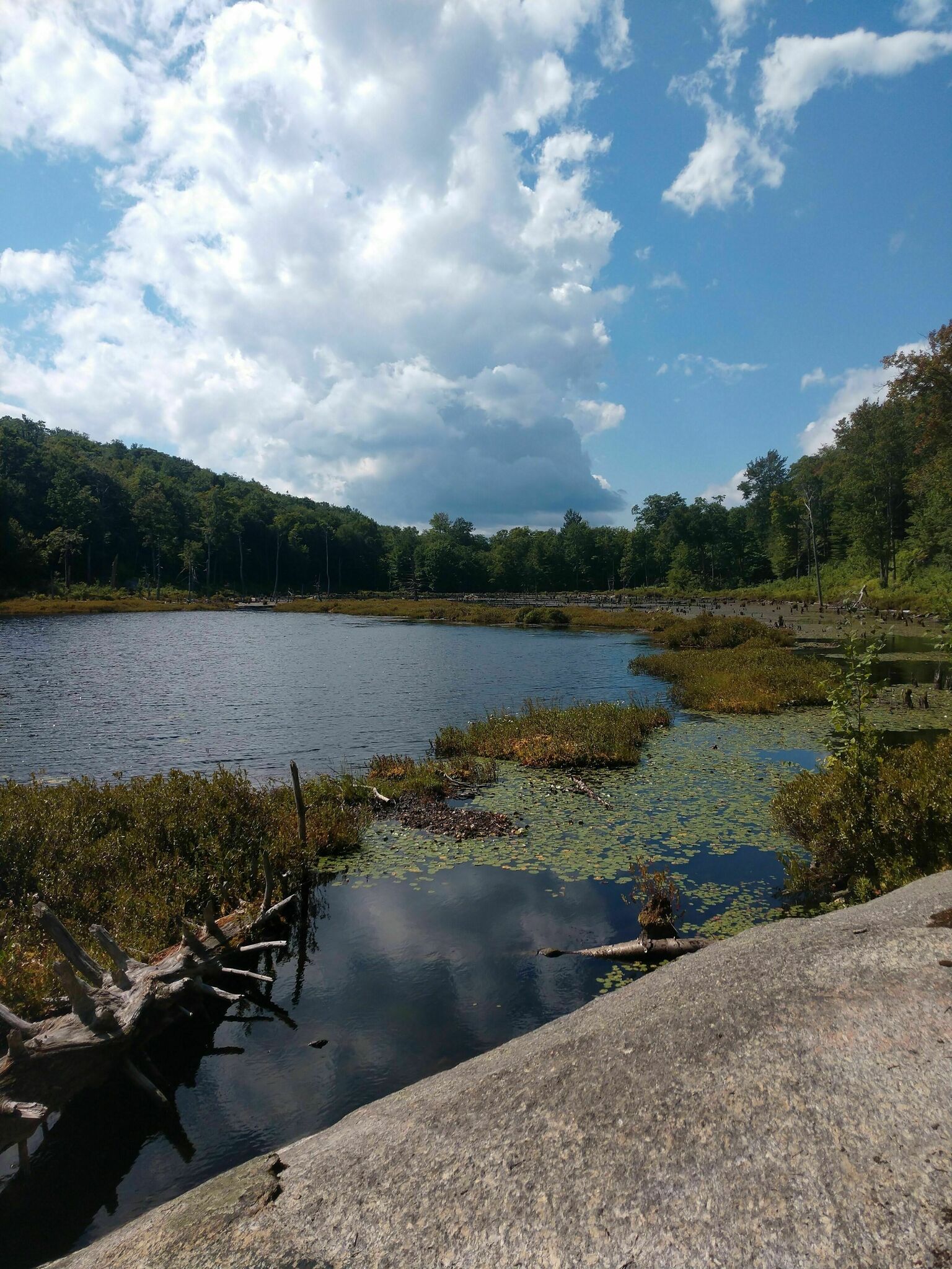 mud lake